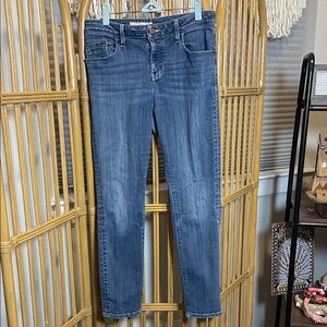 Pilcro and the Letterpress Blue Ankle Jeans